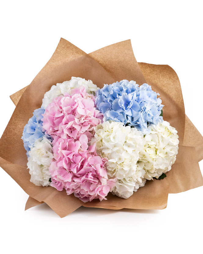 Pastel hydrangea bouquet