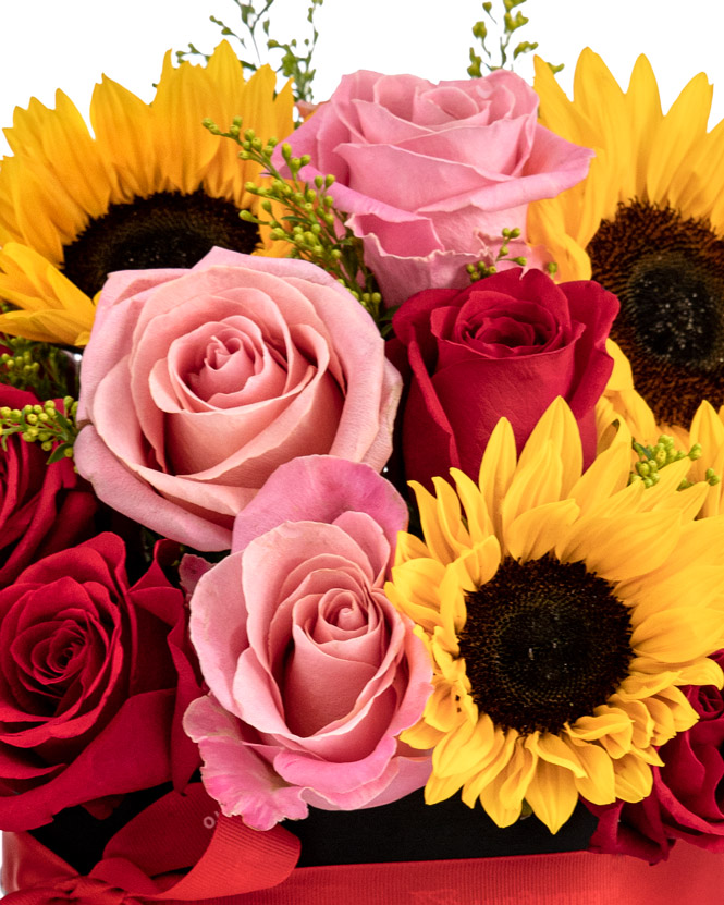 Sun-flower and rose arrangement