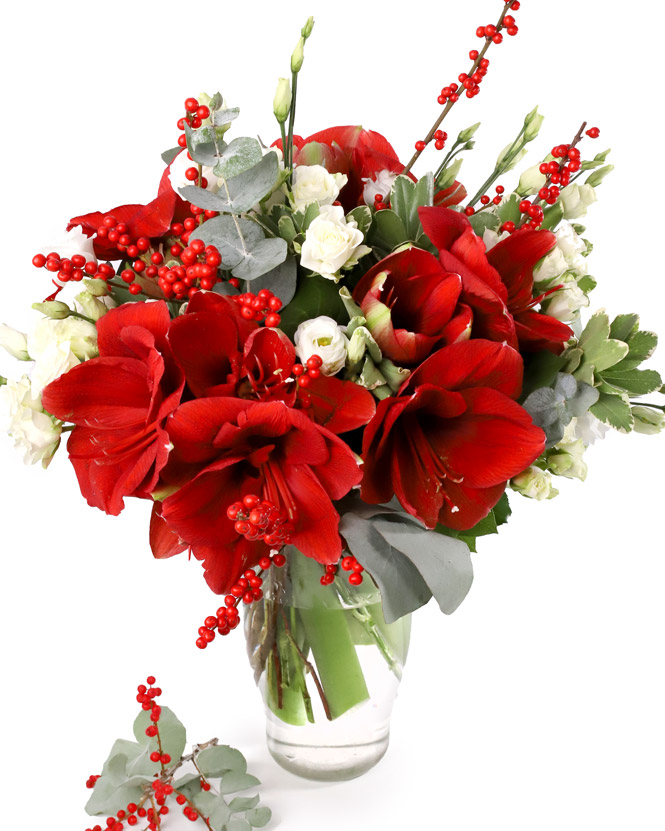 Winter bouquet with Amaryllis