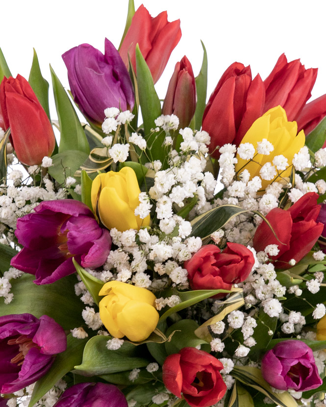 Tulips and gypsophilla bouquet