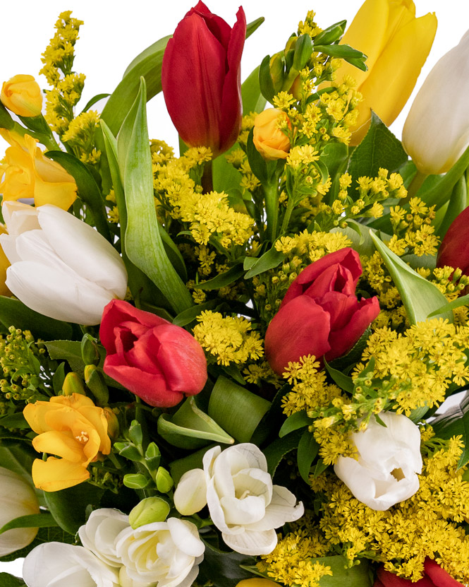 Bouquet with multicolored freesias, tulips and greenery
