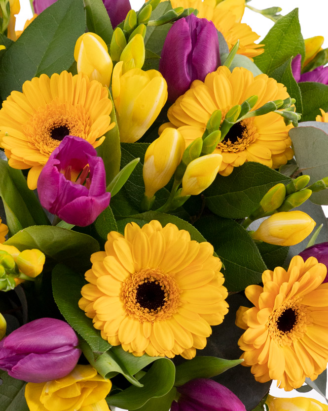 Tulips and gerberas bouquet