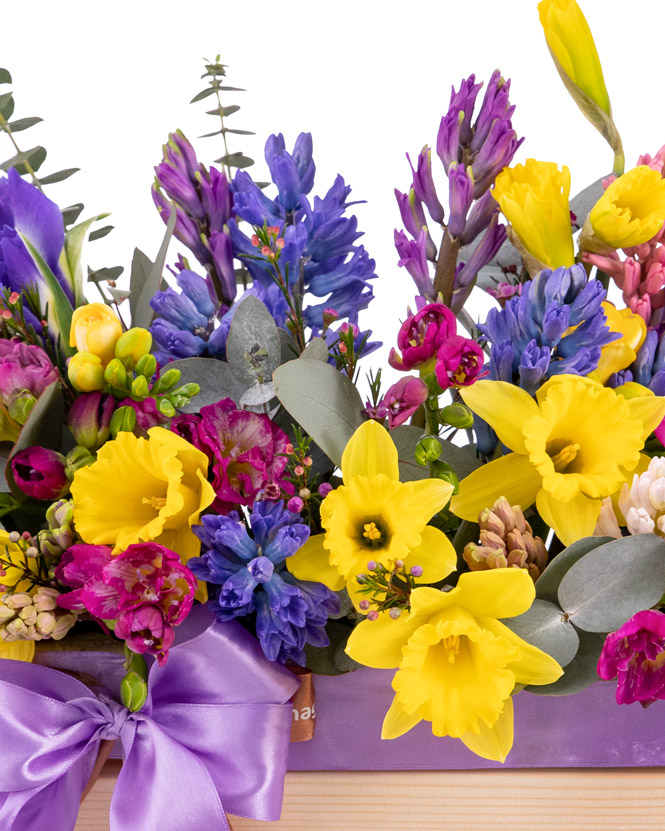 daffodil arrangement