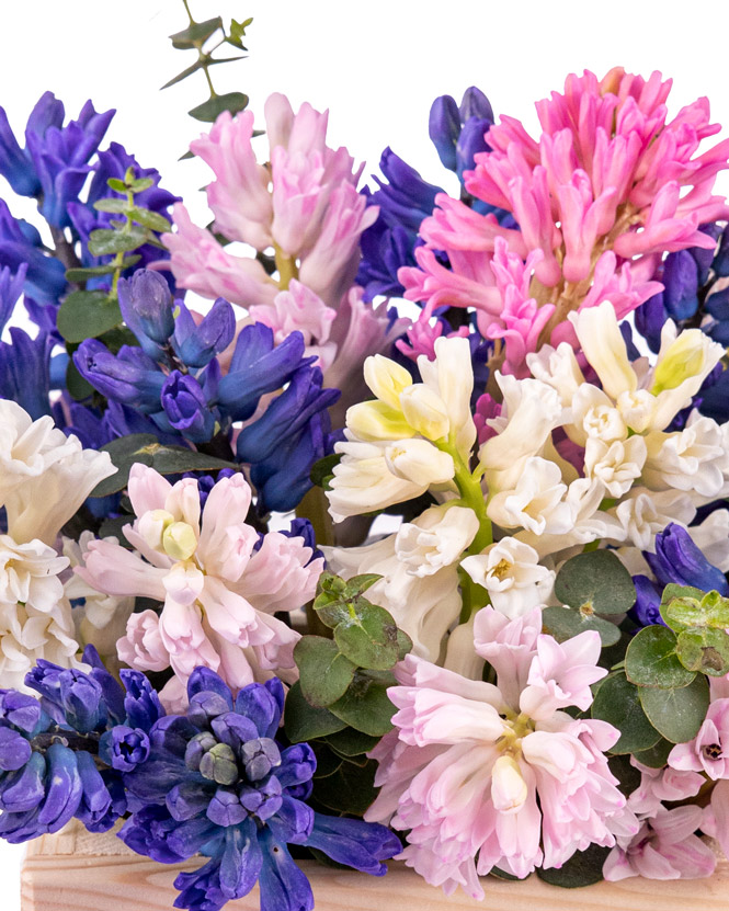 hyacinth arrangement