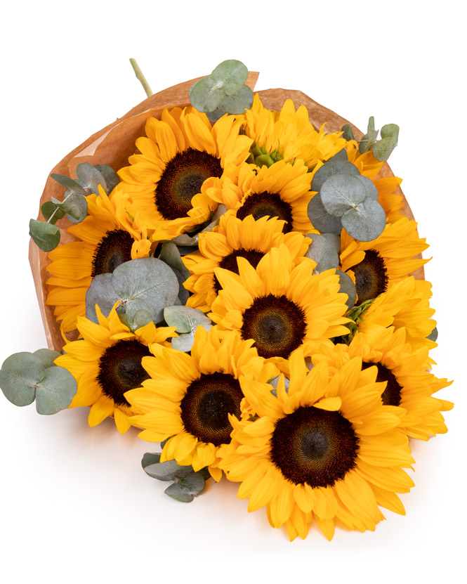 Buchet floarea-soarelui 