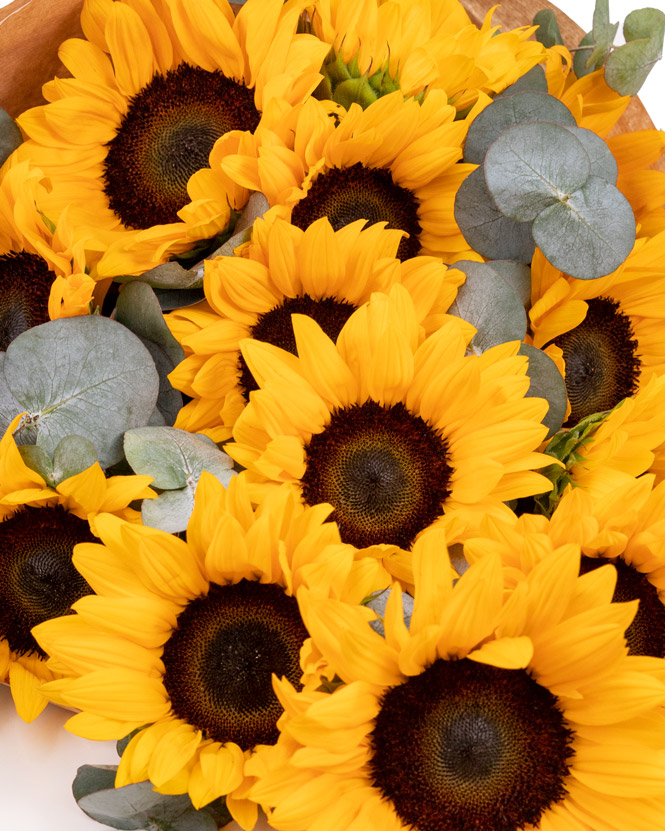 Sunflower bouquet