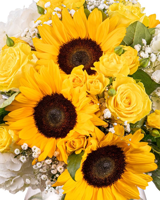 Buchet cu floarea soarelui şi hortensii