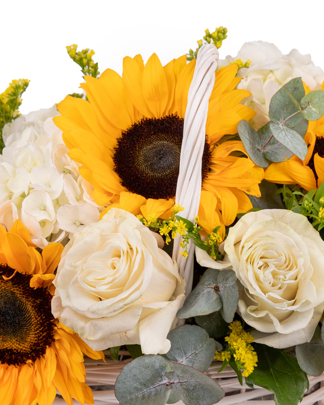 Basket filled with sunflower