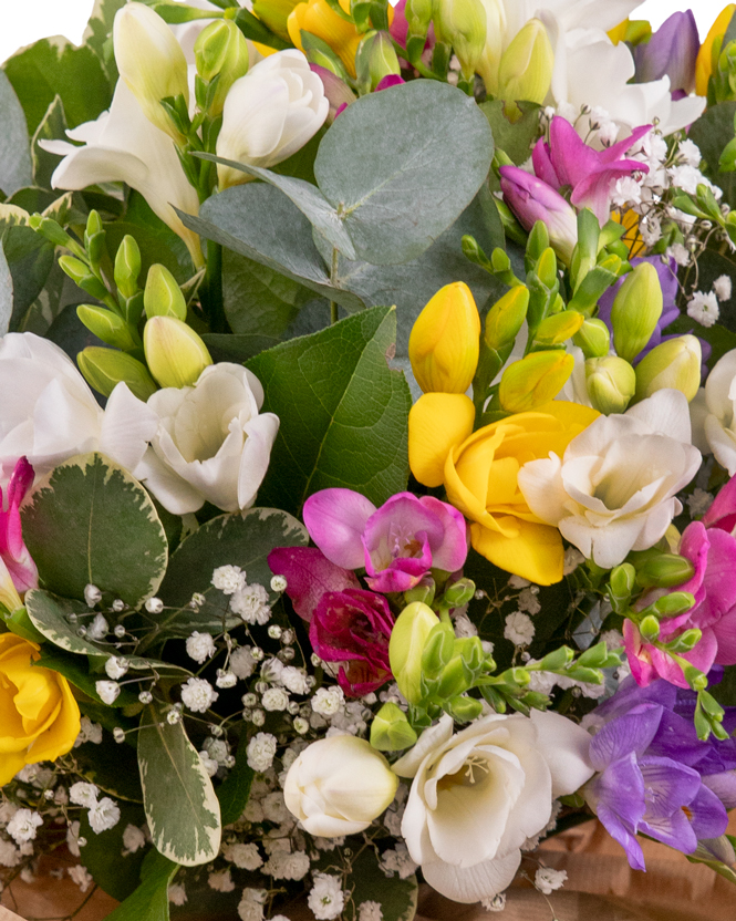 Colorful freesia bouquet