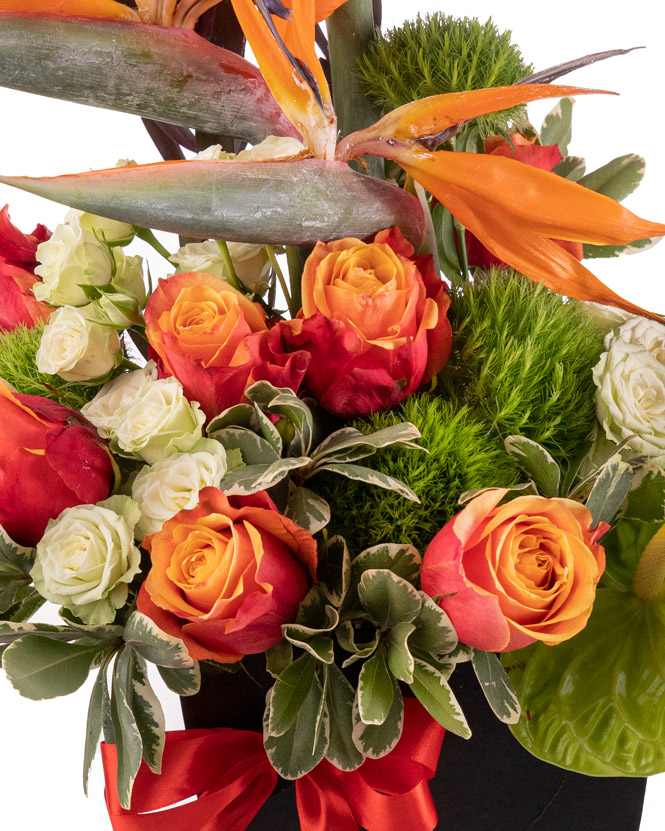Majestic arrangement with strelitzia and roses