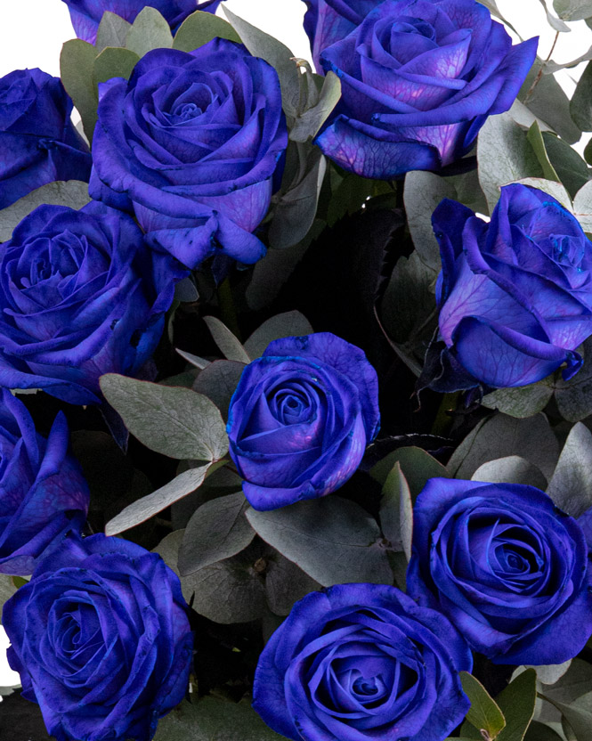 Blue roses bouquet