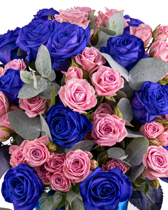 Bouquet of blue and pink roses