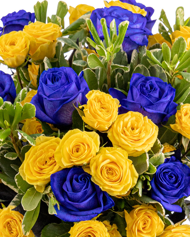 Bouquet of blue and yellow roses