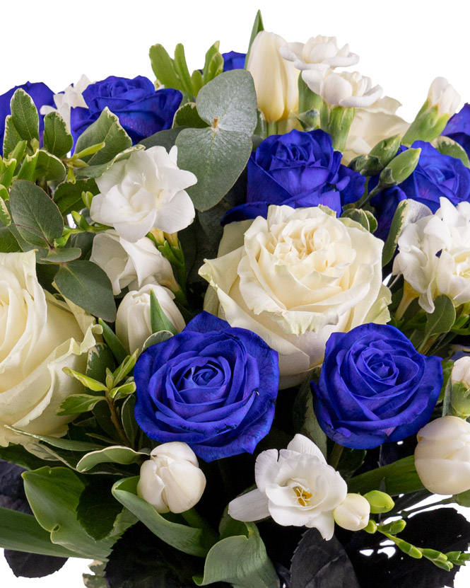Bouquet of blue and white roses