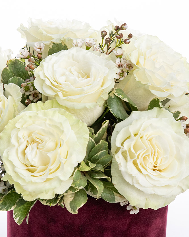 Aranjament trandafiri albi în cutie catifelată