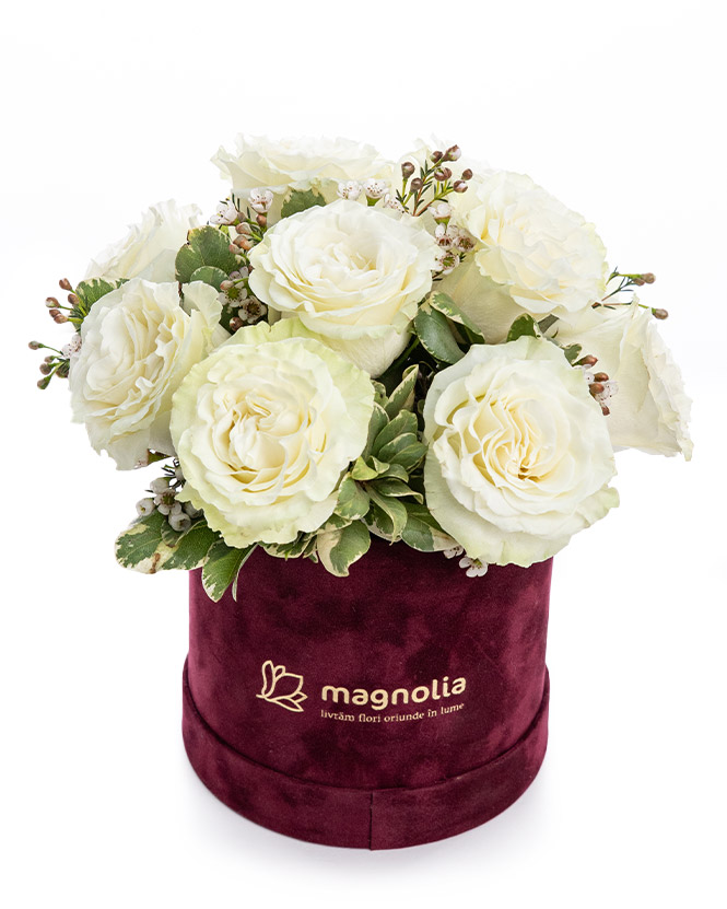 White roses arrangement in velvet box