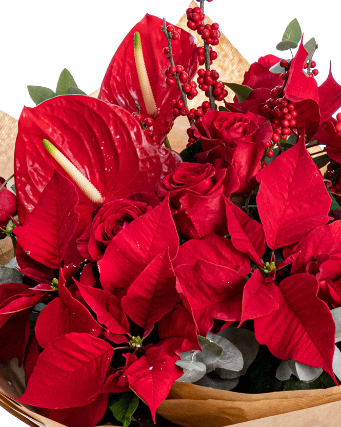 Red flowers bouquet for Christmas