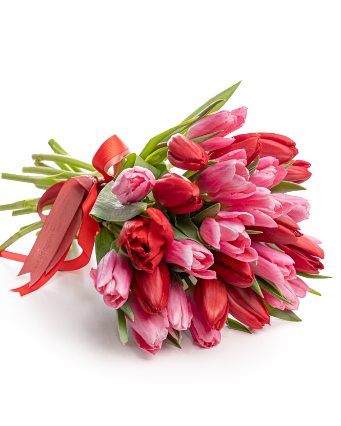 Bouquet of pink and red tulips