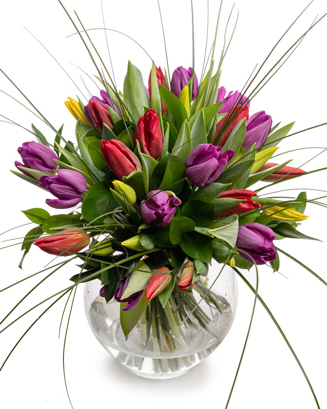 Bouquet of mixed tulips