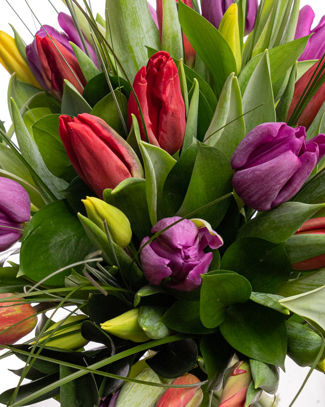 Bouquet of mixed tulips