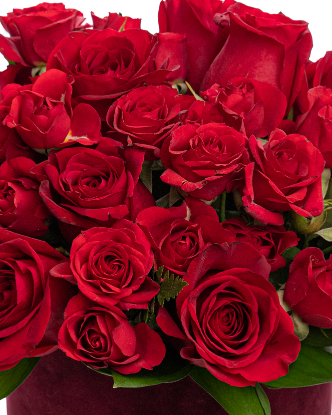Aranjament trandafiri roșii în cutie catifelată 