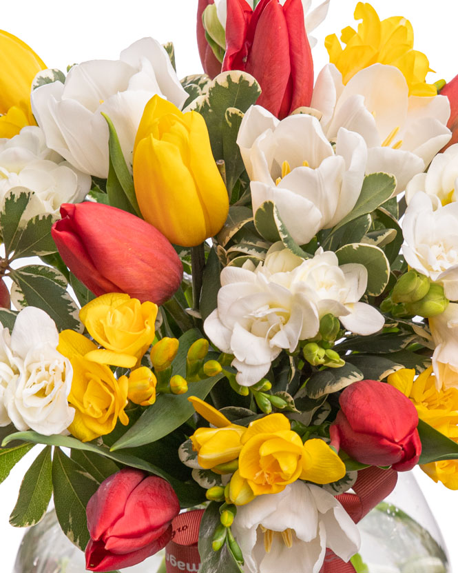 Tulips and freesias bouquet 