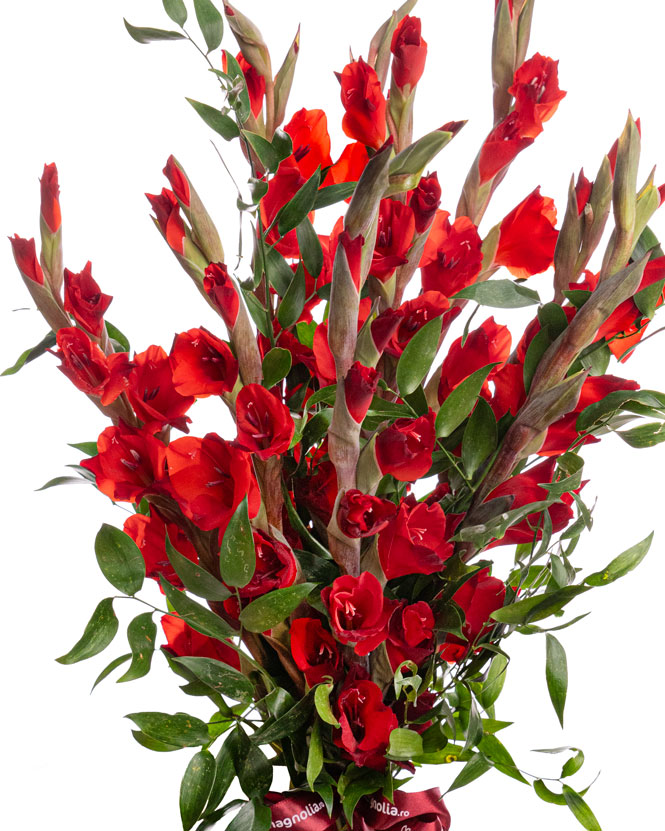 Buchet cu gladiole