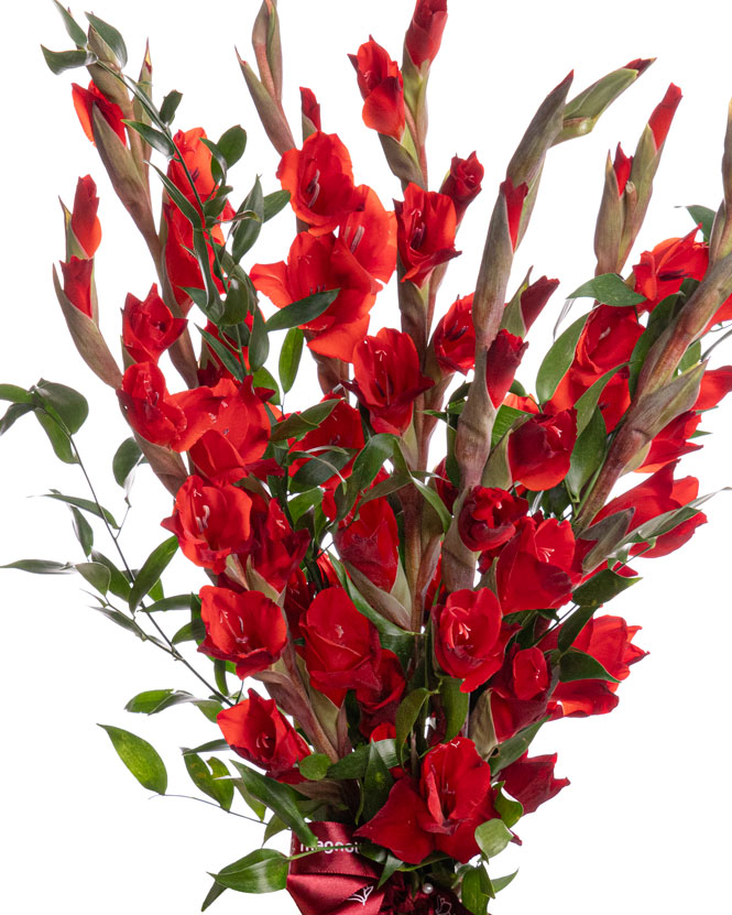 Buchet cu gladiole