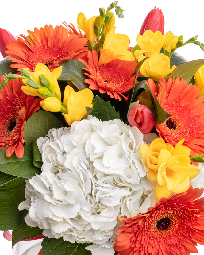 Bouquet of fresias tulips and gerberas