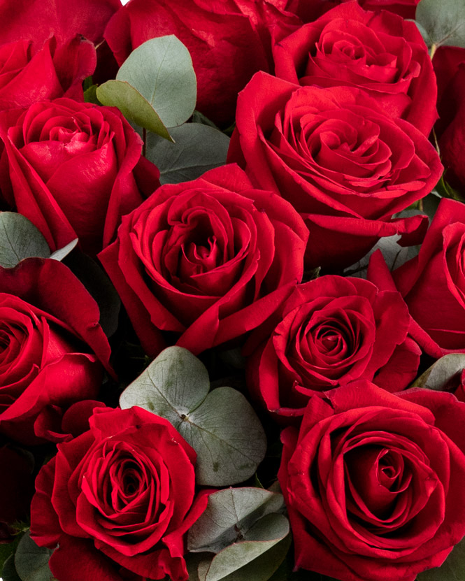 Classic red rose bouquet