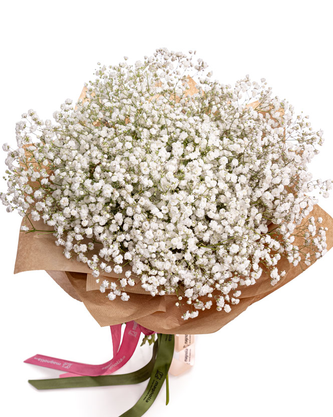 Buchet Gypsophila