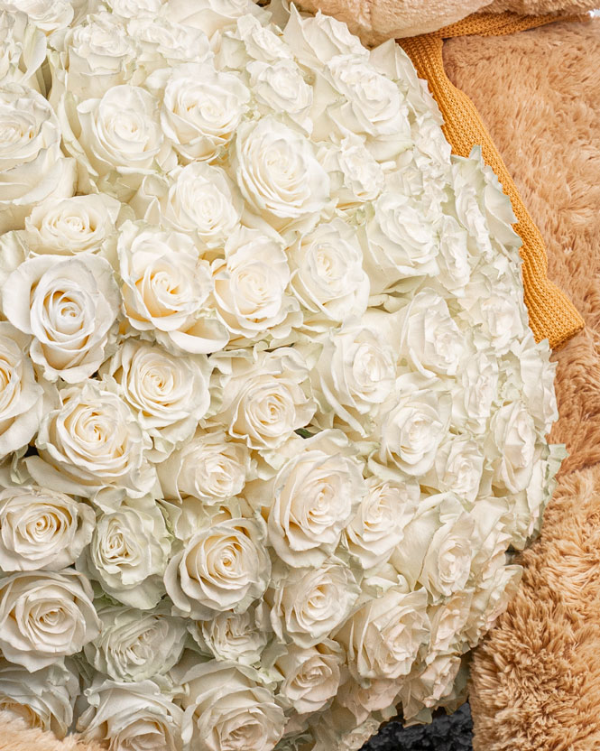101 White Roses and Giant Teddy Bear
