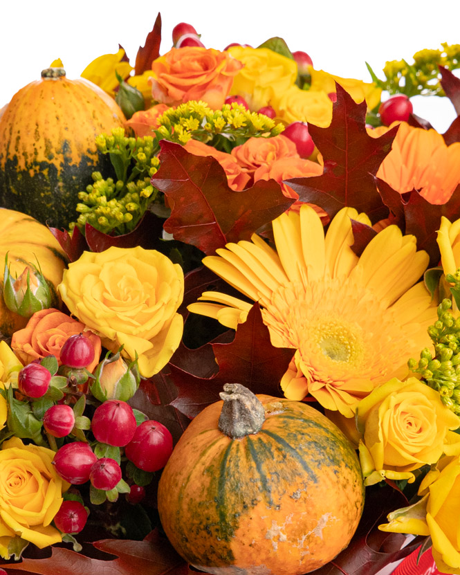 Roses and ornamental pumpkins box