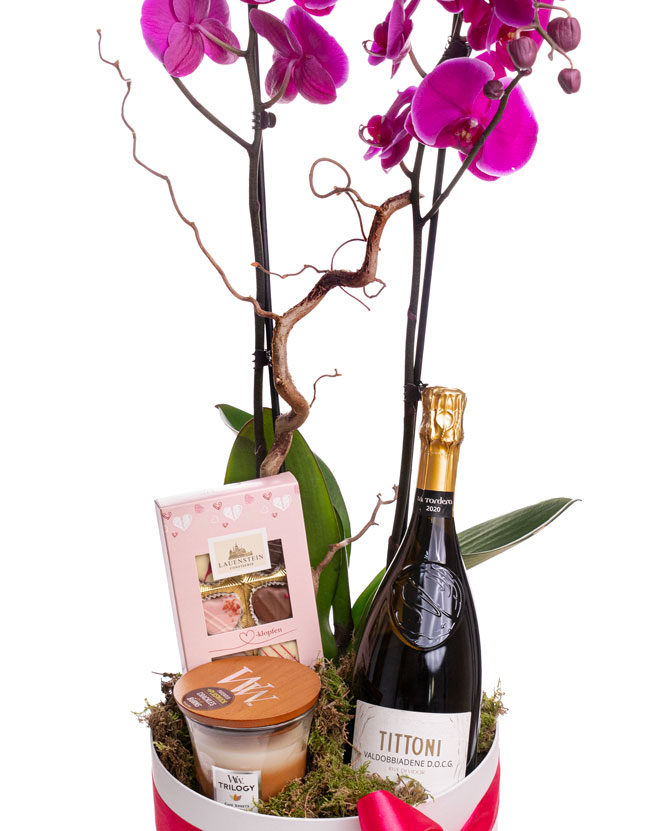Cutie cadou cu Orhidee, prosecco, ciocolată și lumânare parfumată