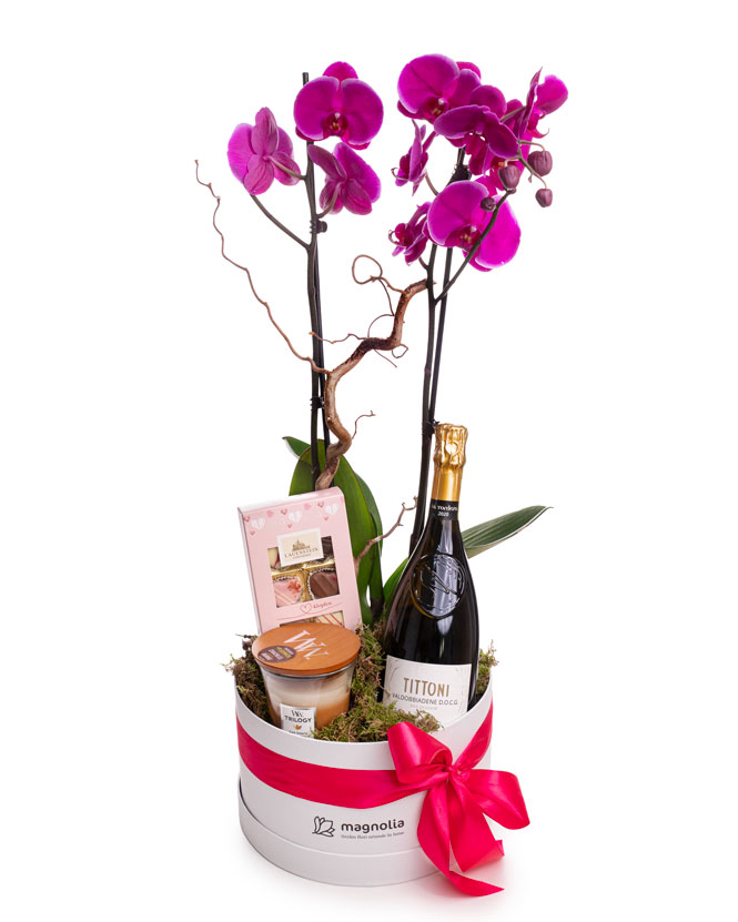 Gift Box with Orchid, Prosecco, Chocolate, and Scented Candle
