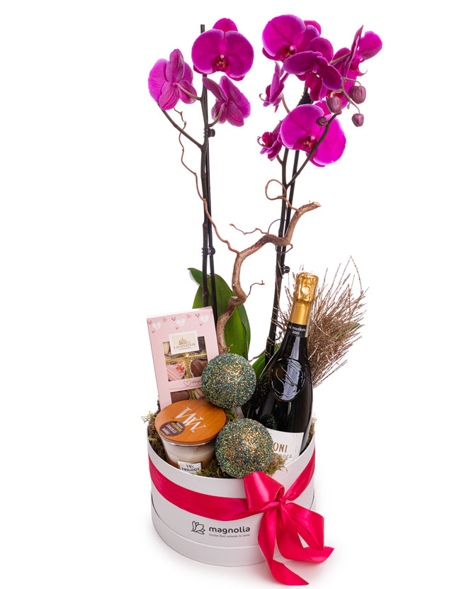 Christmas Gift with Orchid, Prosecco, Chocolate, and Scented Candle