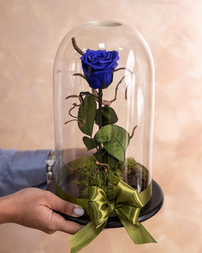 Trandafir criogenat albastru în cupolă