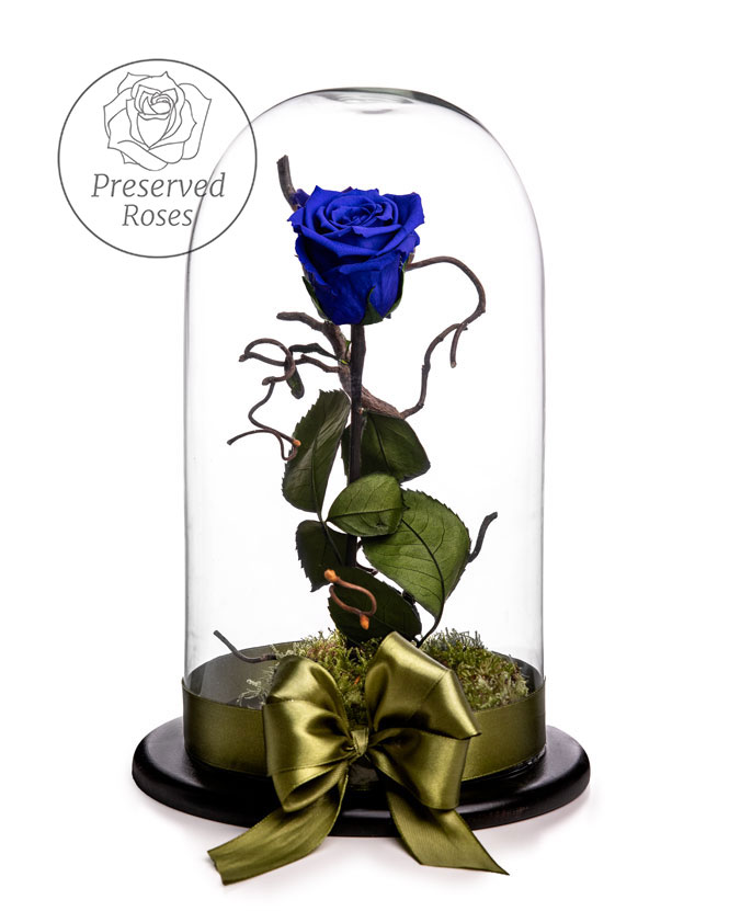 Blue cryogenic rose in the dome