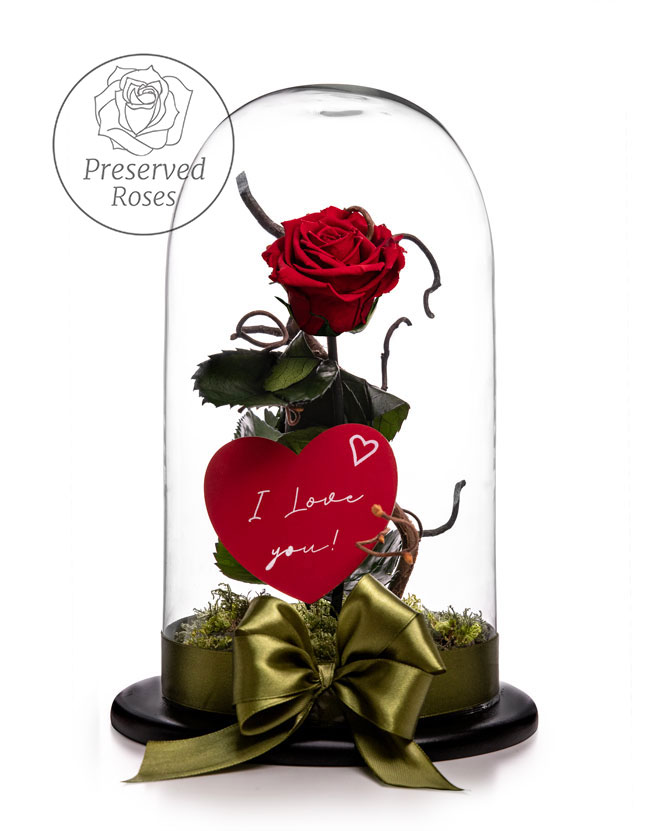 Red cryogenic rose in the dome
