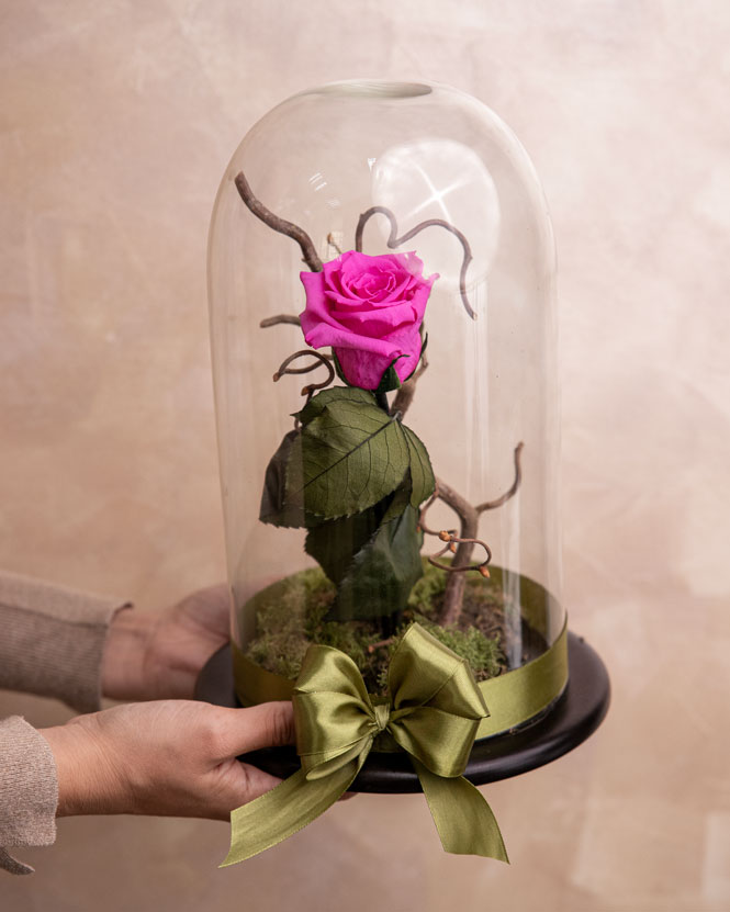 Trandafir criogenat roz în cupolă