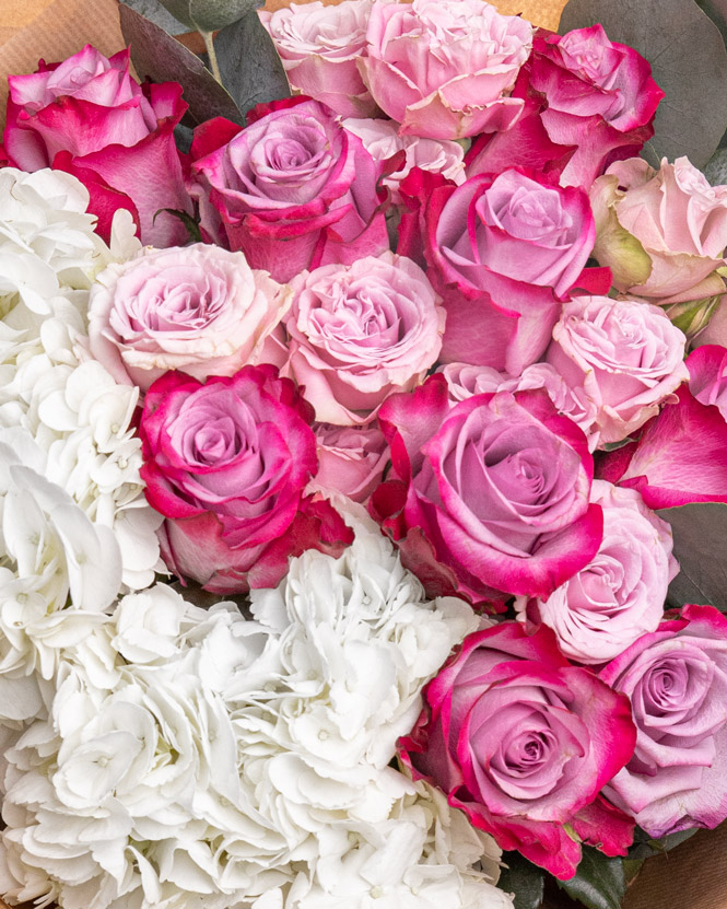 Bouquet with purple roses and hydrangea