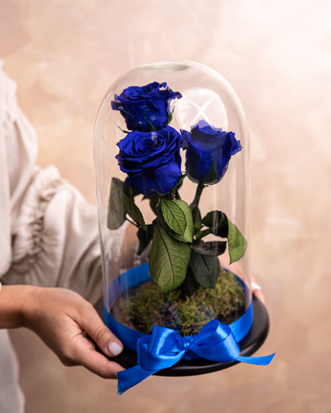 Cupolă cu 3 trandafiri criogenați albaștri