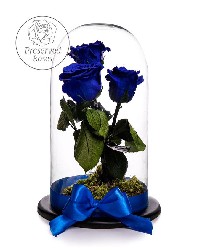 Dome with 3 Cryogenic Blue Roses