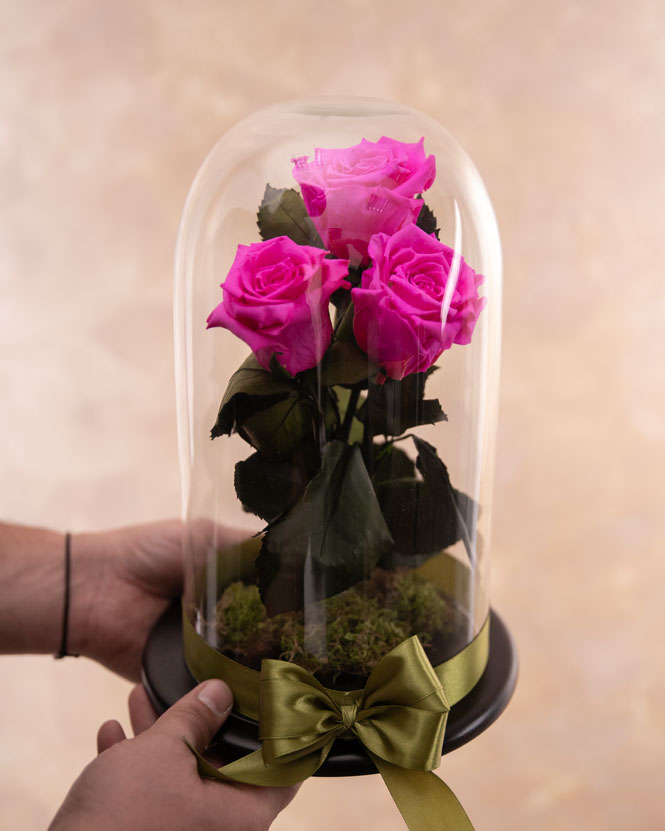 Cupolă cu 3 trandafiri criogenați roz