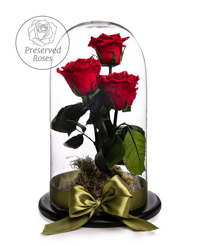 Dome with 3 Cryogenic Red Roses