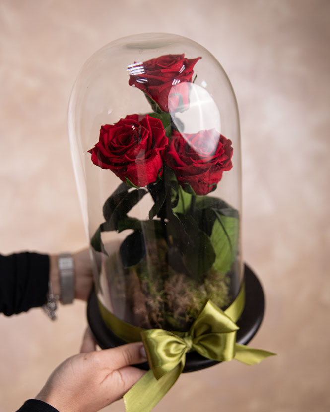 Dome with 3 Cryogenic Red Roses