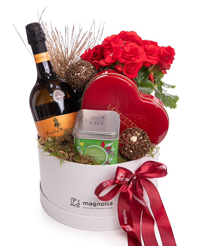 Cadou Crăciun cu Begonie, vin spumant, ciocolată și ceai