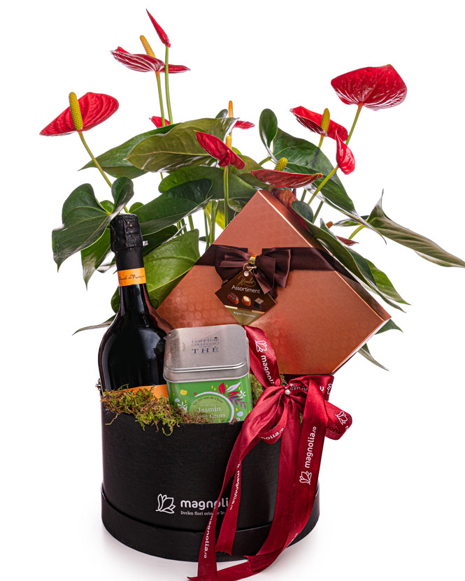 Gift Box with Anthurium, Chocolate, Sparkling Wine and Tea
