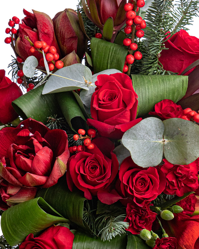 Winter bouquet with Amaryllis