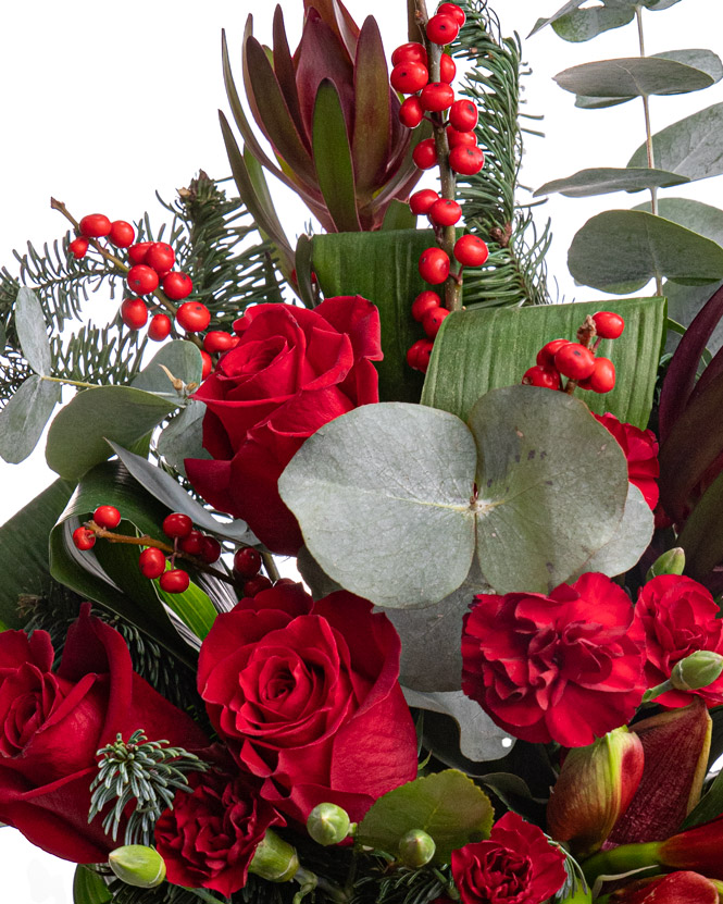 Winter bouquet with Amaryllis